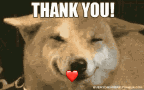 Thank You GIF