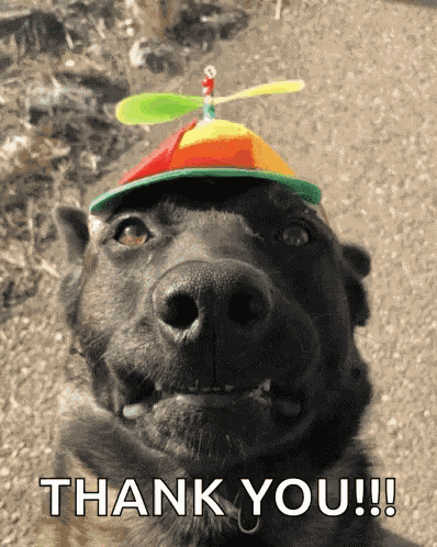 Thank You Thank You So Much GIF