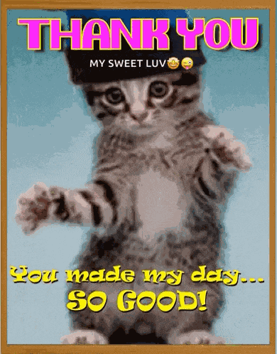 Thank You Thanks GIF