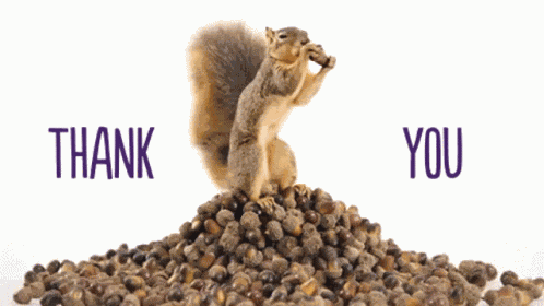 Thank Yu Thanks GIF