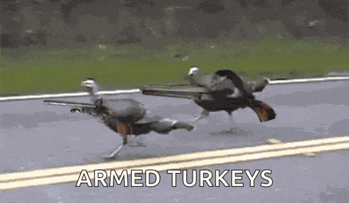Thanksgiving GIF