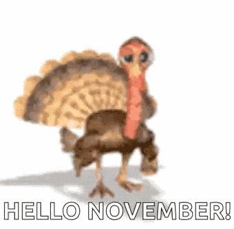 Thanksgiving Turkey GIF
