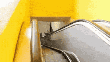 That Escalated GIF