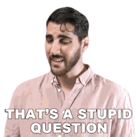 Thats A Stupid Question Rudy Ayoub Sticker