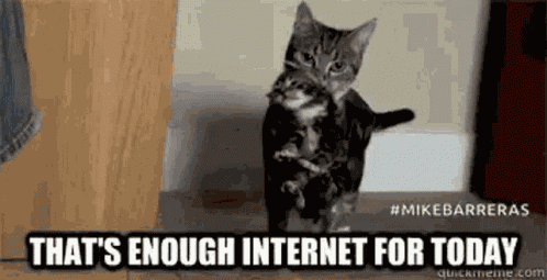 Thats Enough Enough Internet GIF