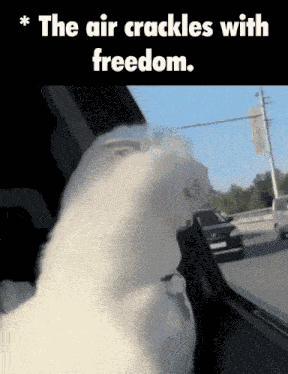 The Air Crackles With Freedom Freedom Motif GIF