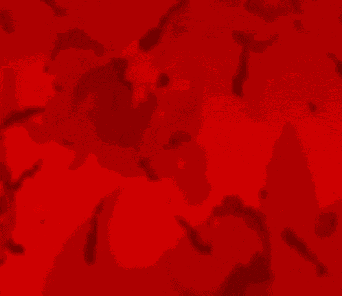 The Binding Of Isaac Repentance GIF