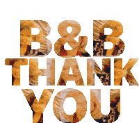 The Bold And The Beautiful B And B Sticker