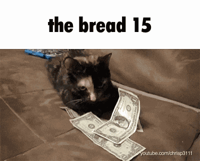 The Bread 15 Cat GIF