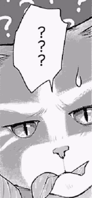 The Cat And The Dragon Cat Meme