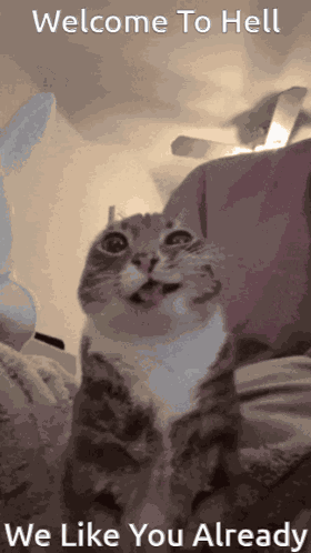 The Chum Slum Welcome GIF
