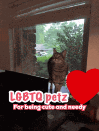 The Cutest The More You Know GIF