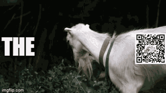 The Goat Best Trader Indicators GIF