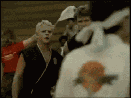 The Karate Kid Cobra Kai GIF