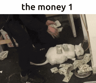 The Money 1 The Bread GIF