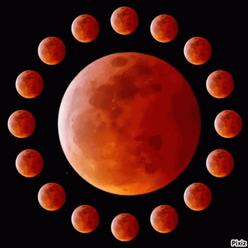The Moon Moon GIF