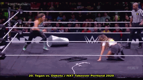The Shining Wizard Tegan Nox GIF