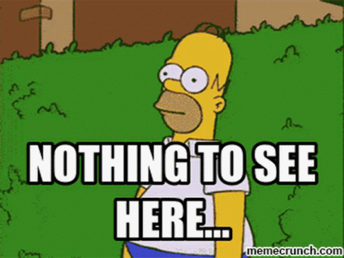 The Simpsons Homer Simpson GIF