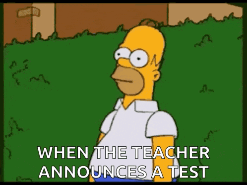 The Simpsons Homer Simpson GIF