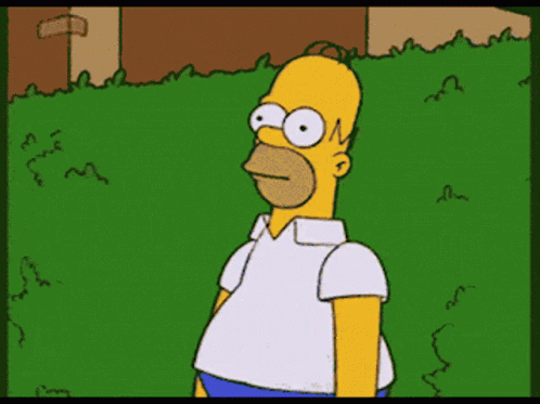 The Simpsons Homer Simpson GIF