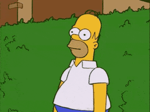 The Simpsons Homer Simpson GIF