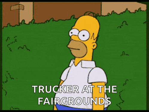 The Simpsons Homer Simpson GIF