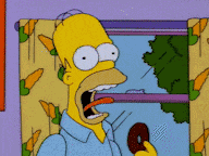 The Simpsons Homer Simpson GIF