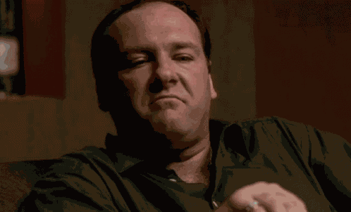 The Sopranos Tony Soprano GIF