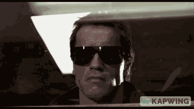 The Terminator Arnold Schwarzenegger GIF
