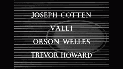 The Third Man 3rd Man GIF