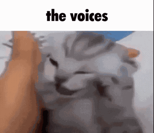 The Voices Cat GIF