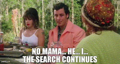 The Waterboy The Search Continues GIF