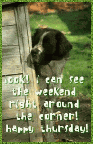 The Weeknd The Weekend Is Here GIF
