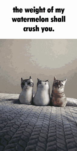 The Weight The Weight Of My GIF