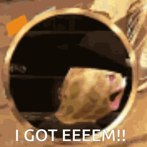 Theburntpeanut Got Em GIF