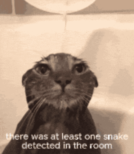 There Was At Least One Snake Detected In The Room Hop On Snakes GIF