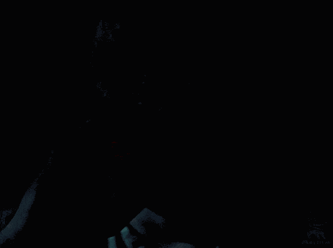 They Fought For Their Country Vasily Shukshin GIF