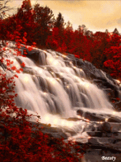 Thinking Of You Believing In Love GIF