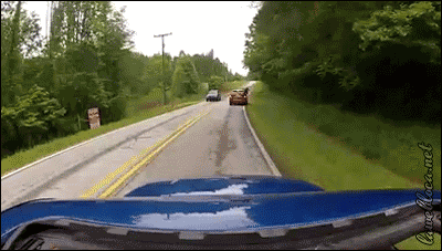 This Driver Who Was Lucky To Find A Deer That Knew Parkour. GIF