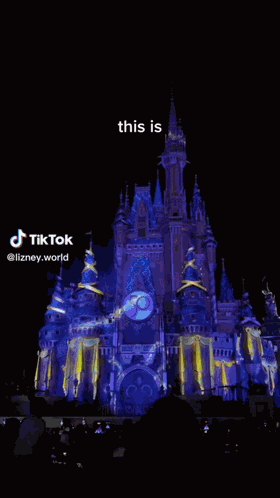 This Is Disney This Is Disney World GIF