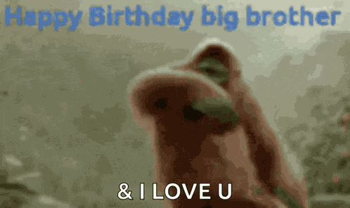 This Is You When Barnsley Wins Doesnt Happen Very Often Though Lol Xxx Barry Wilcox GIF