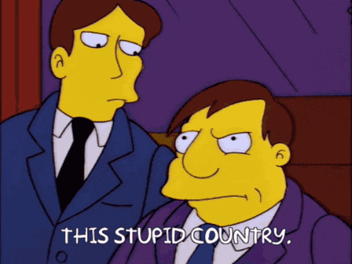 This Stupid Country This Stupid Country Simpsons GIF