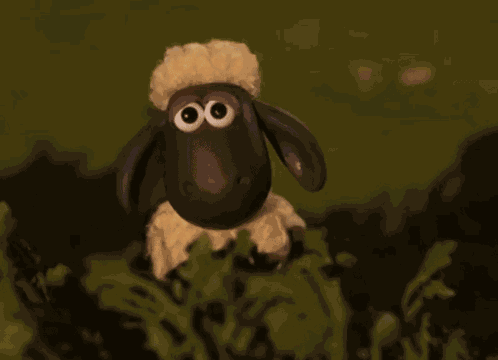 Thnam GIF