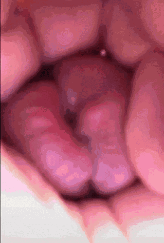 Throbbing Kissing GIF