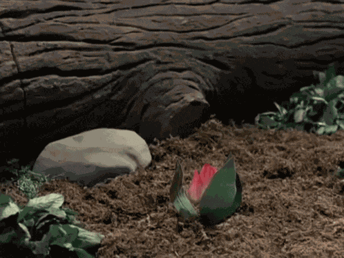 Thumbelina Rankin Bass GIF