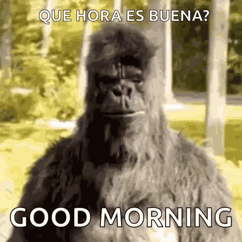 Thumbs Up Dance GIF