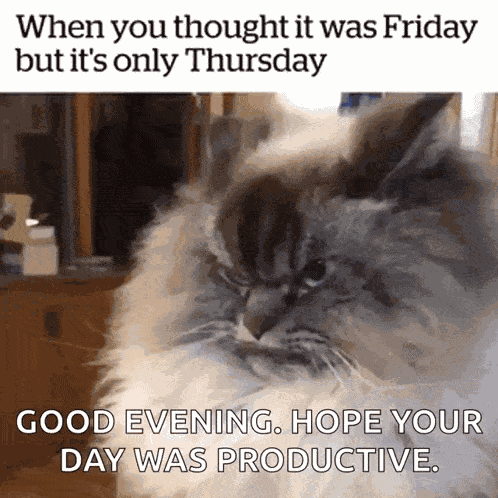 Thursday Friday GIF
