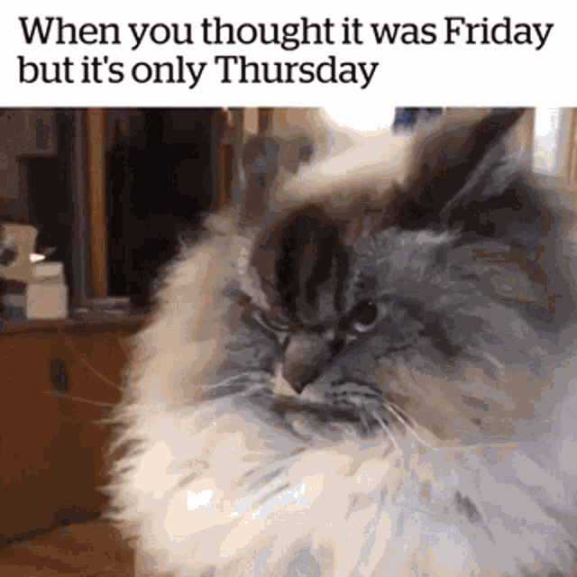 Thursday Friday GIF