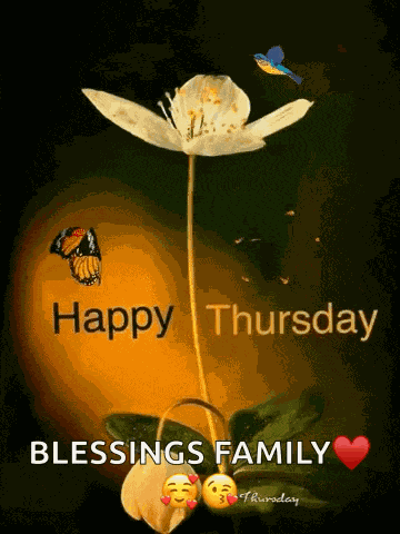 Thursday Morning GIF