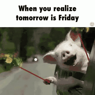 Thursday Tomorrow Is Friday GIF